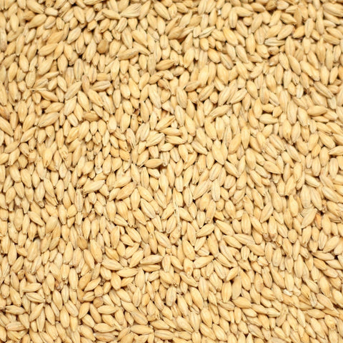 Barrett Burston Vienna 1kg