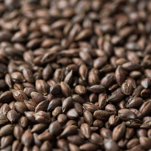 Barrett Burston Roast Barley 1kg