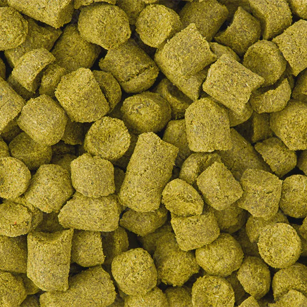 Hops Superdelic 100g 2024 10.13% AA