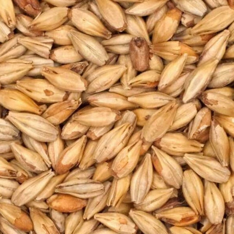 Weyermann® Munich Malt T1 25kg Bag