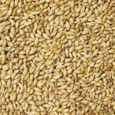 Weyermann Munich Malt T2 25kg