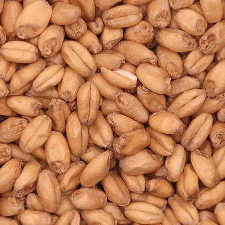 Barrett Burston Wheat 1kg