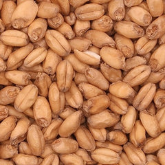 Barrett Burston Wheat 25kg Bag