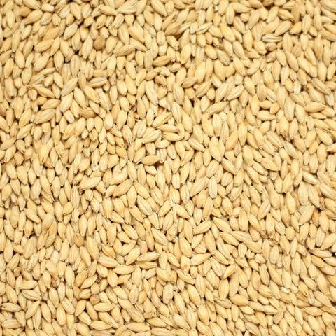 Simpsons Golden Promise Grain 1kg