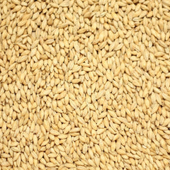 Simpsons Golden Promise Grain 1kg