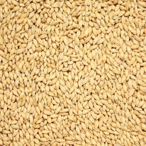 Simpsons Golden Promise Grain 25kg