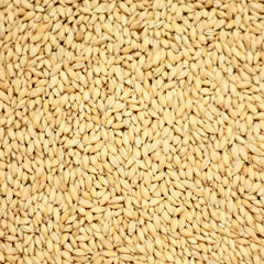 Simpsons Golden Promise Grain 25kg
