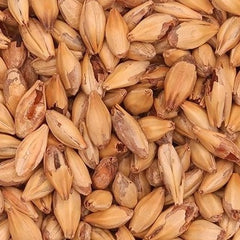 Barrett Burston Caramalt 1kg