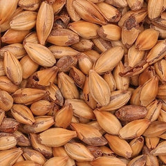 Barrett Burston Medium Crystal Malt