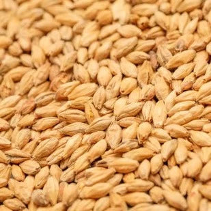 BestMalz Red X 25kg Bag