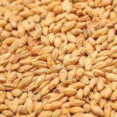 BestMalz Red X 25kg Bag