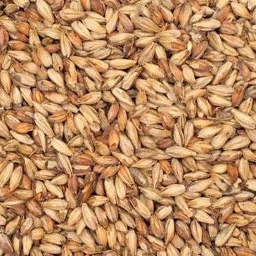 Briess Victory Malt Grain 1kg