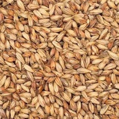 Briess Victory Malt Grain 1kg