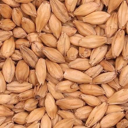 Barrett Burston Border Pale Malt (Pilsner)