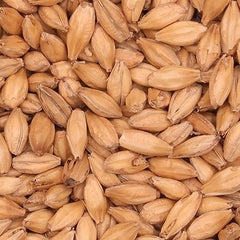 Barrett Burston Border Pale Malt (Pilsner)