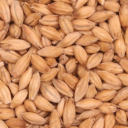 Barrett Burston Border Pale Malt (Pilsner) 25kg Bag