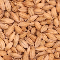 Barrett Burston Border Pale Malt (Pilsner) 25kg Bag