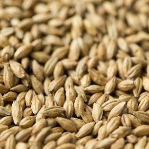 Gladfield Chit Barley 25kg