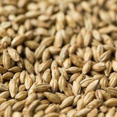 Gladfield Chit Barley 1kg