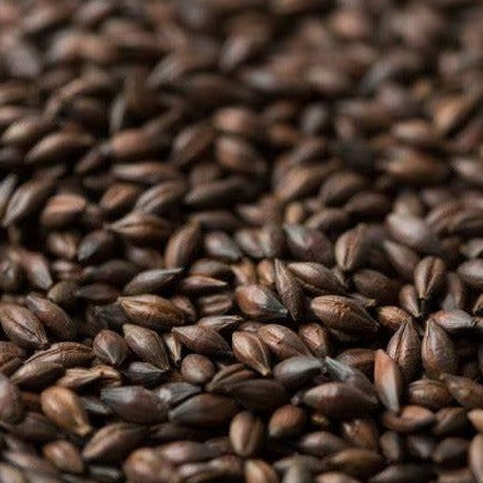 Barrett Burston Chocolate Malt