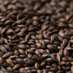 Barrett Burston Chocolate Malt