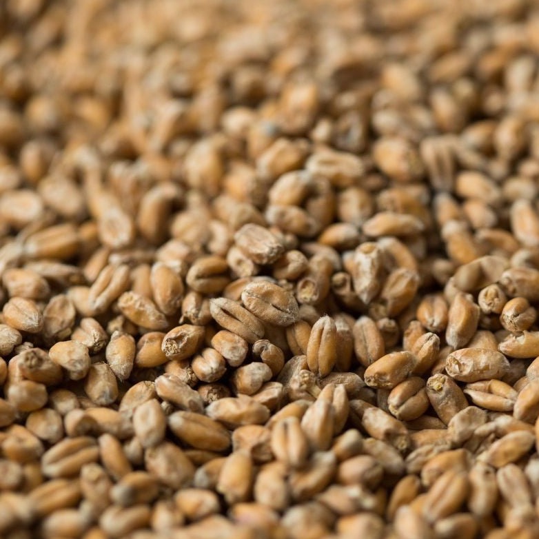 Gladfield Chit Wheat 25kg