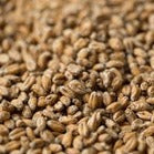 Gladfield Chit Wheat 1kg