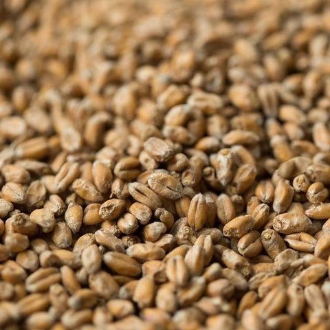 Gladfield Chit Wheat 25kg