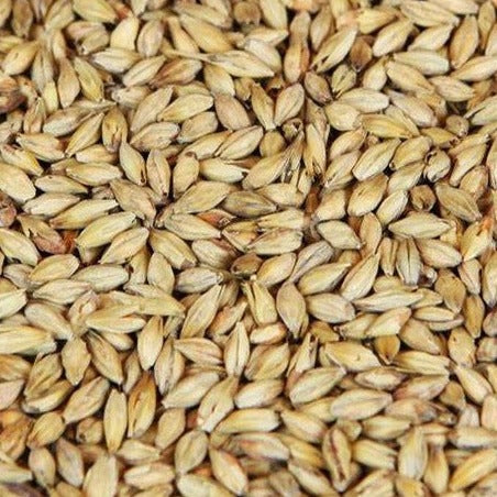 Weyermann Melanodin Grain 1kg