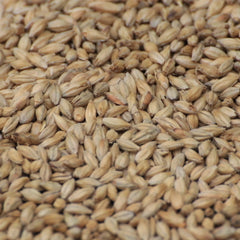 Gladfield American Ale Malt 25kg Bag