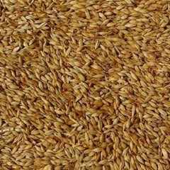 Weyermann Abbey Grain 1kg