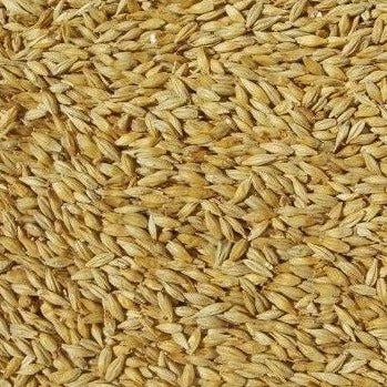 Weyermann Carapils Grain 1kg
