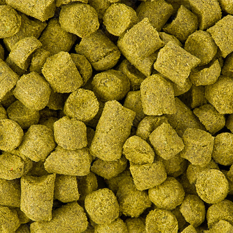 Hops Chinook 1kg A/A 12.7% 2019