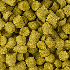 Hops Pride of Ringwood 100g A/A 11% 2022