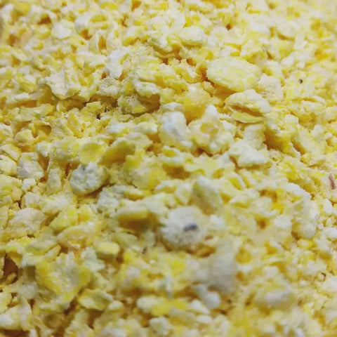 Flaked/Rolled Corn (Maize)