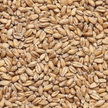 Weyermann Wheat Malt 25kg