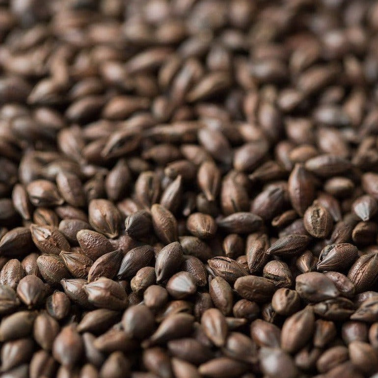 Barrett Burston Roast Barley 1kg