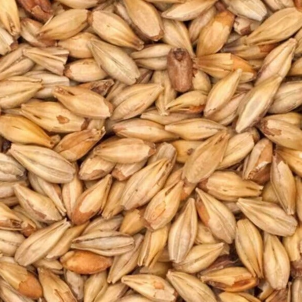 Weyermann® Munich Malt T1