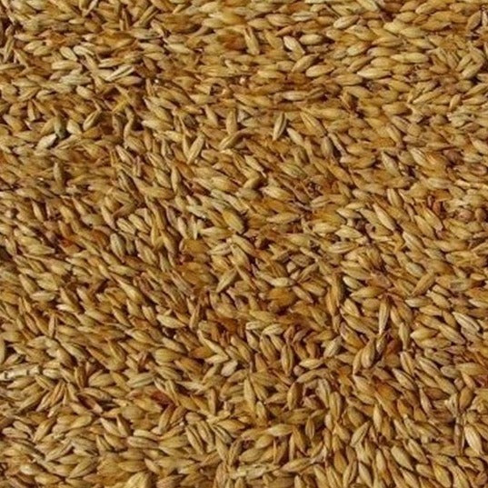Weyermann® Abbey Grain 1kg