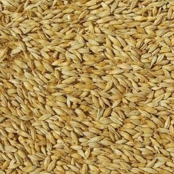 Weyermann® Carapils Grain 1kg