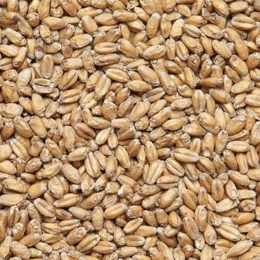 Weyermann® Wheat Malt  1kg