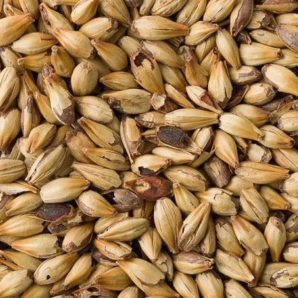 Weyermann® Beech Smoked Grain 1kg